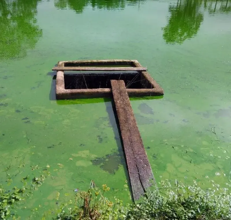 Serviços - Avaliação Ambiental