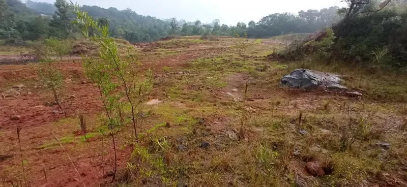 Projeto de Recuperação de Àrea Degradada