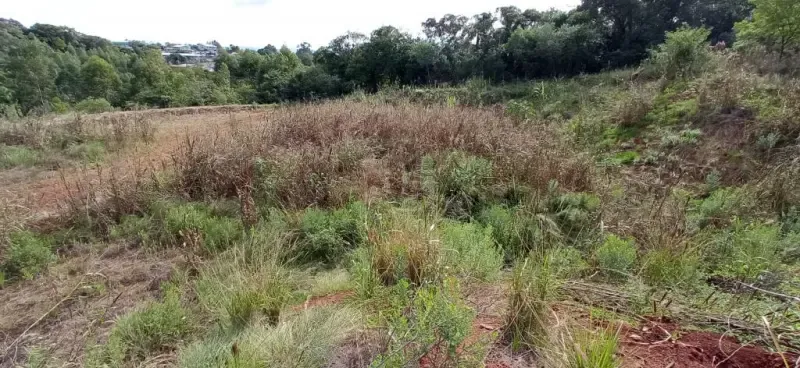 Projeto de Recuperação de Àrea Degradada